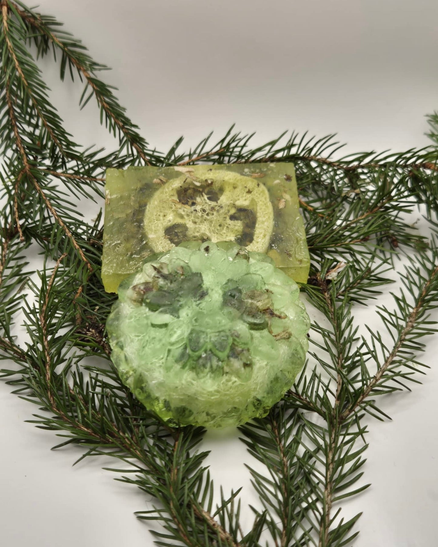 Exfoliation Body Soap blend with Aloe Vera and Icelandic moss