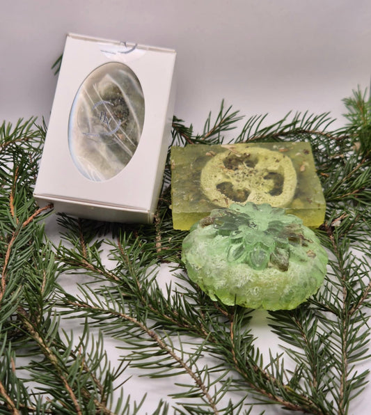 Exfoliation Body Soap blend with Aloe Vera and Icelandic moss