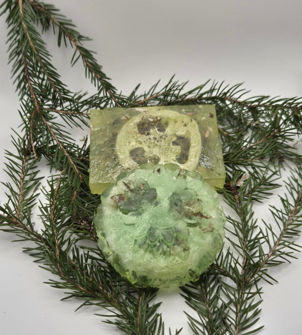 Exfoliating Body Soap blend with Aloe Vera and Icelandic Moss