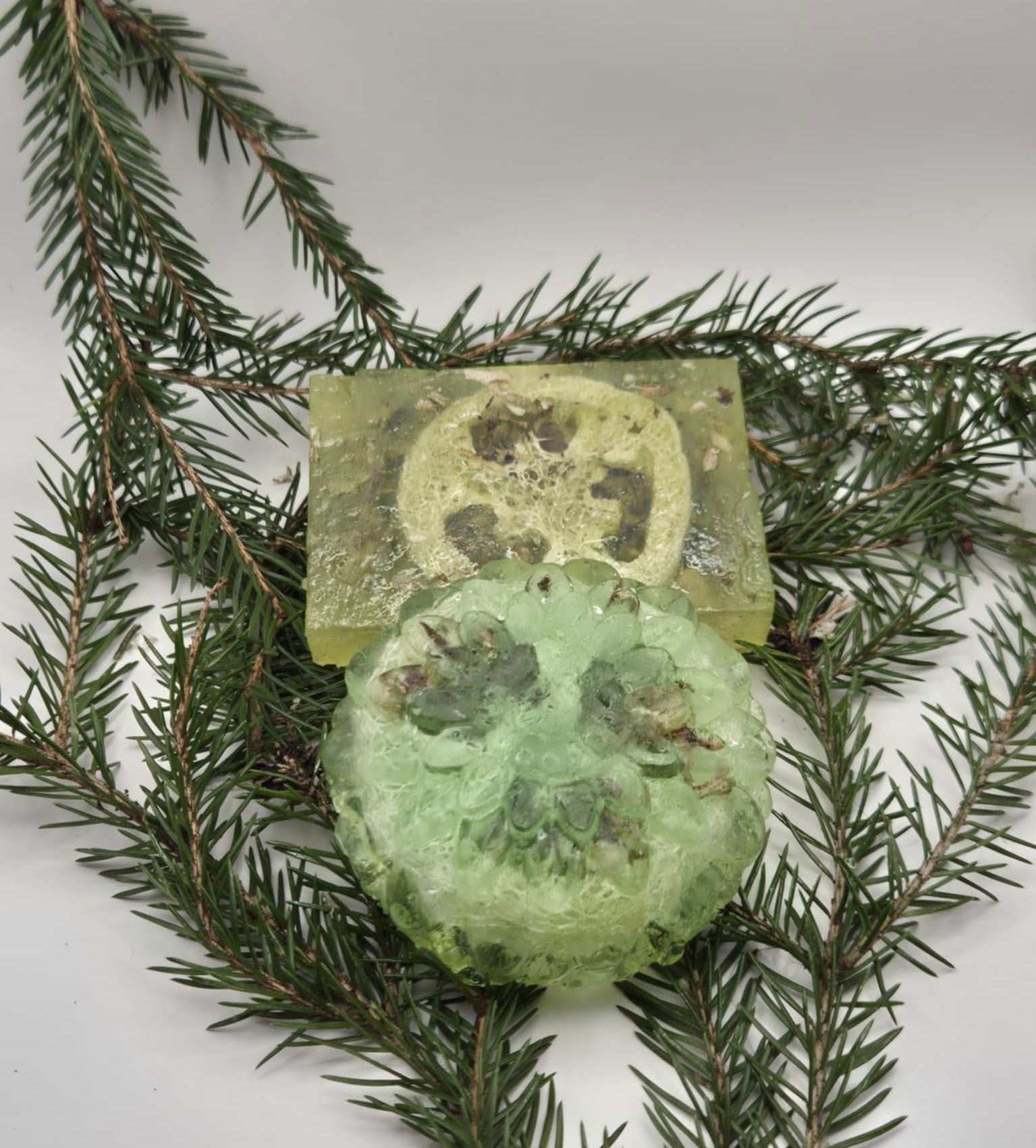 Exfoliating Body Soap blend with Aloe Vera and Icelandic Moss