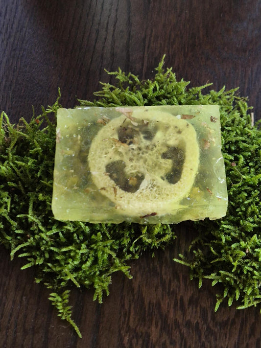 Exfoliating Body Soap blend with Aloe Vera and Icelandic Moss