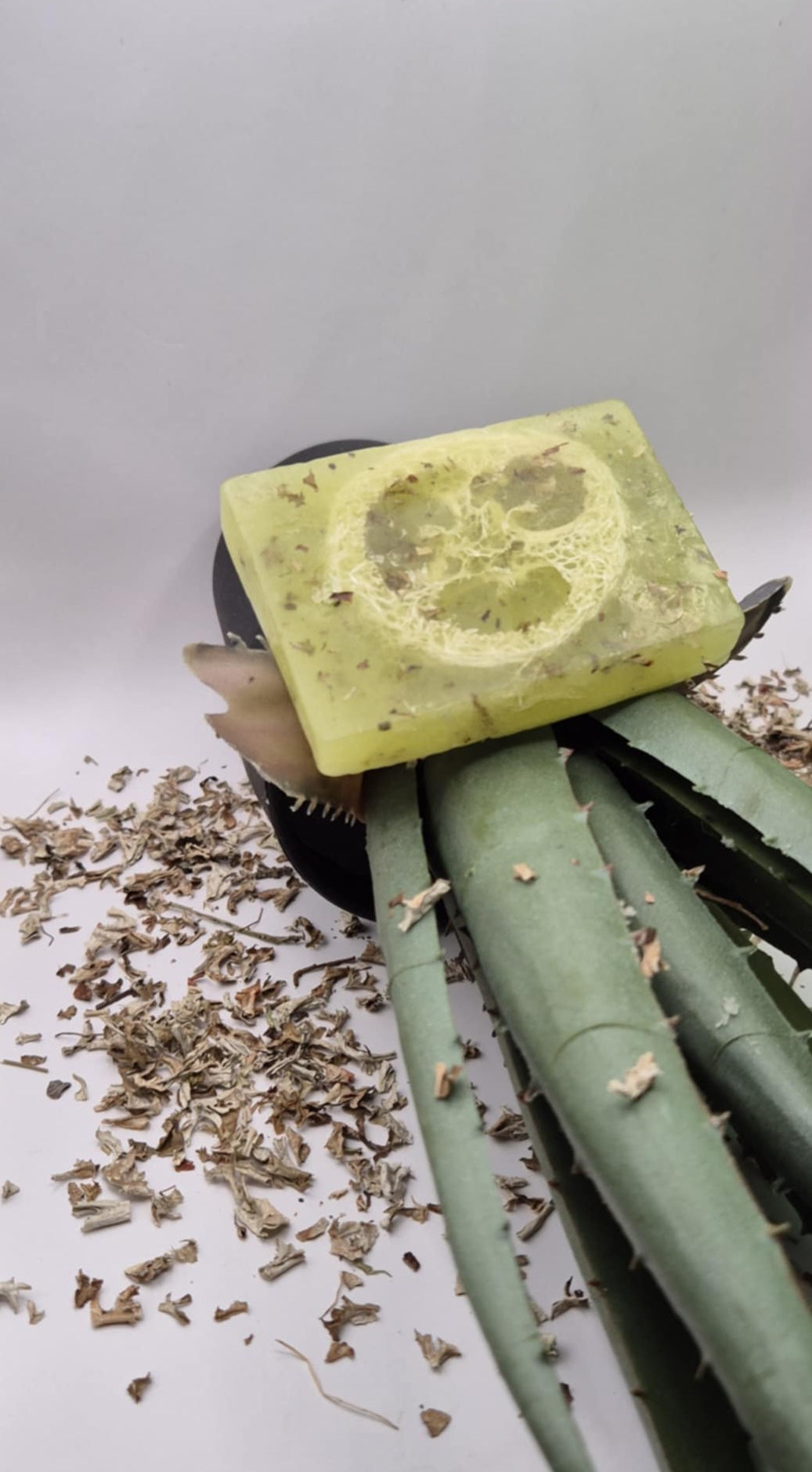 Aloe vera Exfoliation skin Soap