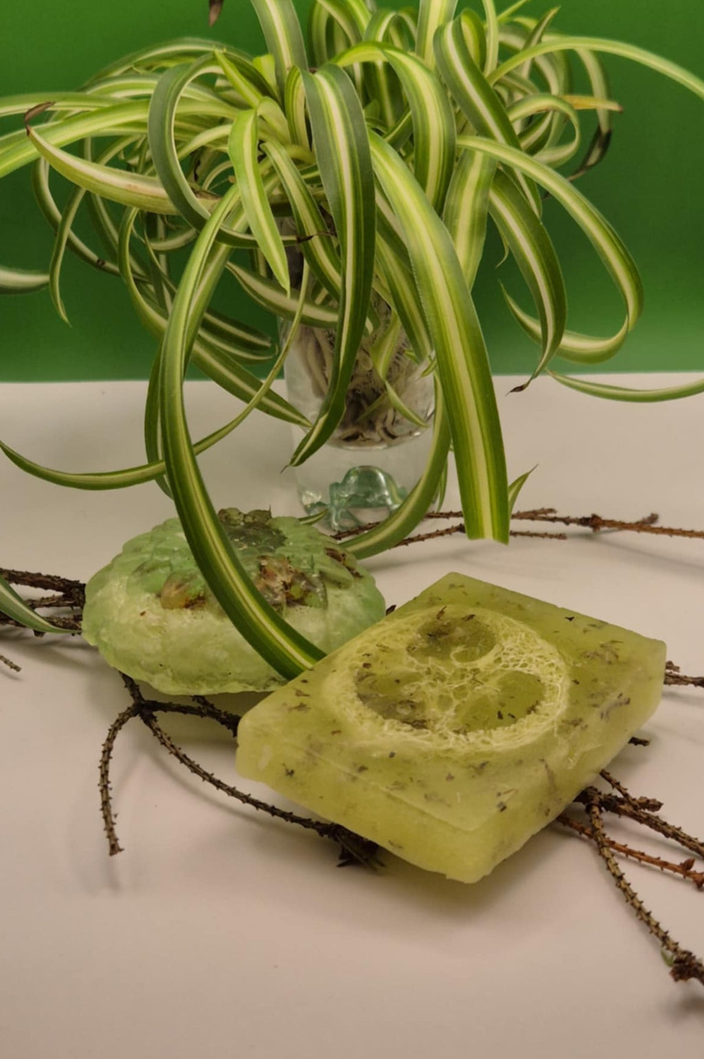 Aloe vera Exfoliation skin Soap